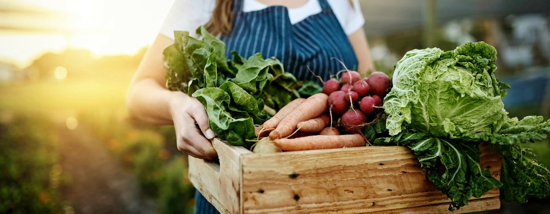 Autumn harvest